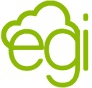 EGI logo